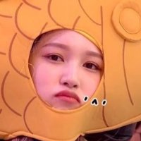 P (@pvminari) 's Twitter Profile