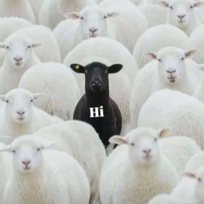 RimageMach53015's profile picture. 