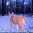 lorelapisces's profile image