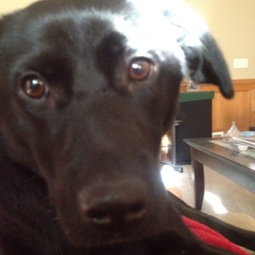 HawkfanLon's profile picture. 