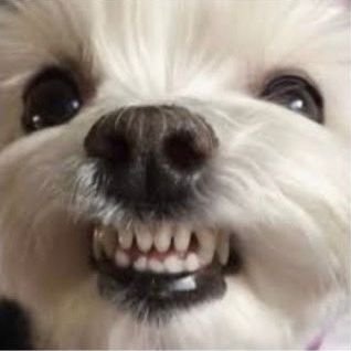 OoO_ang_'s profile picture. 몬놀하러 컴백