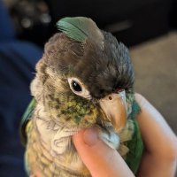 Bordo (@asdorez) 's Twitter Profile