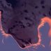 envy majin uub jiren (@vuarghost) Twitter profile photo envy majin uub jiren (@vuarghost) Twitter profile photo