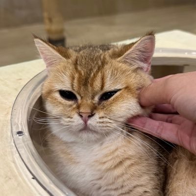 bfuiw's profile picture. 