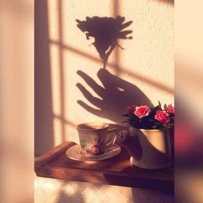 mano0ol2015's profile picture. ولم أعُد أنتظر سوى : دعواتُ أمي ،
ومواسم الياسمين .. والمطر !