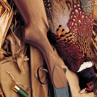 12boreglen's profile picture. 