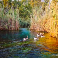 Dt. Çaylı (@ucayli7867) Twitter profile photo