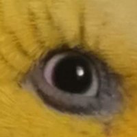 CL #pro choice/Shanty tramp 😂 (@chachat) 's Twitter Profile