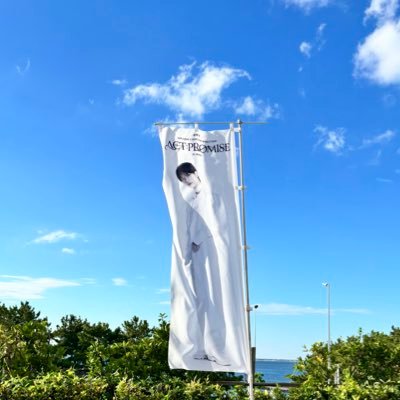 mii1214391's profile picture. 🦊