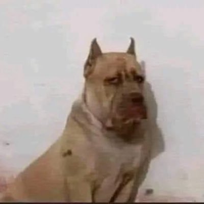 iFlextionZ's profile picture. 