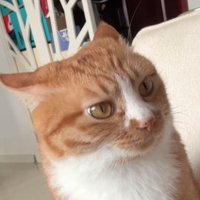 Arwen💜🌟 (@galadri_) 's Twitter Profile Photo Arwen💜🌟 (@galadri_) 's Twitter Profile Photo