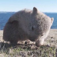 たける (@_tak_eru_) Twitter profile photo