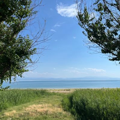 yusashra1's profile picture. 😍