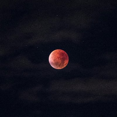 cesariochat's profile picture. 