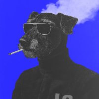 unidad básica david rudnick (@dmowl_) 's Twitter Profile Photo unidad básica david rudnick (@dmowl_) 's Twitter Profile Photo