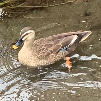さくまさんのプロフィール画像