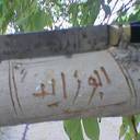 زايد (@05051275698) Twitter