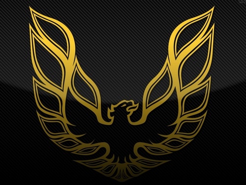 Firebird953's profile picture. National Killa niggas