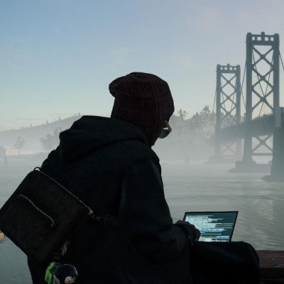 hoss0x's profile picture. Penetration Tester