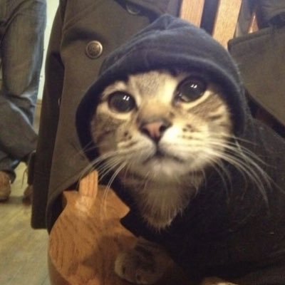 Stevbtw's profile picture. 🪆