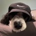 Jeremy (@jjsox02) Twitter profile photo Jeremy (@jjsox02) Twitter profile photo