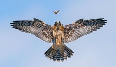 EyoC4's profile picture. 