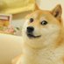 ¯\_(ツ)_/¯ (@chrischilexd) Twitter profile photo ¯\_(ツ)_/¯ (@chrischilexd) Twitter profile photo