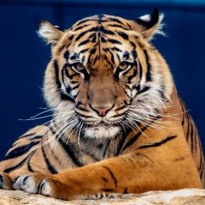 StephanCBacon's profile picture. Family, Friends and Fellowship!