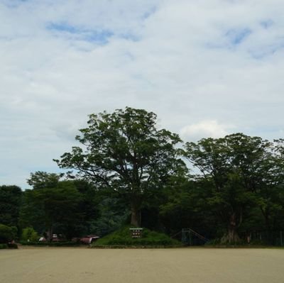 runrunrun1415's profile picture. アラフィフになりました。怪談とランニングとゲームとサッカーが好きです。最近はマラソン投稿のみです。マラソン記録フルは2時間57分48秒ハーフは1時間21分30秒10㎞は35分5秒5㎞17分24秒3㎞9分41秒1㎞3分5秒ランニング仲間増えれば嬉しいです。中高サッカー部