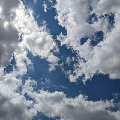 joNmqzjYa626836's profile picture. 