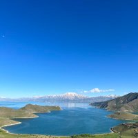 Ali Eser (Ø,G) 🐝 (@aeser3155) Twitter profile photo