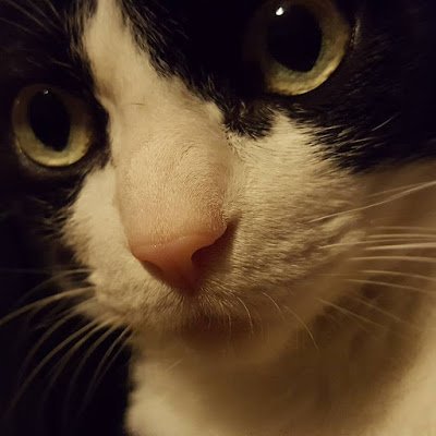 Antonio6521333's profile picture. 