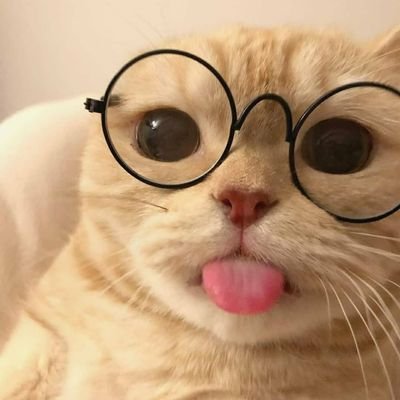 kirapat_2011's profile picture. 