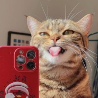 kez (@keeeeeeezieee) 's Twitter Profile