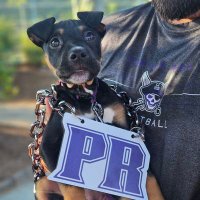 Lady Pirates (@prladypirates) 's Twitter Profile Photo Lady Pirates (@prladypirates) 's Twitter Profile Photo