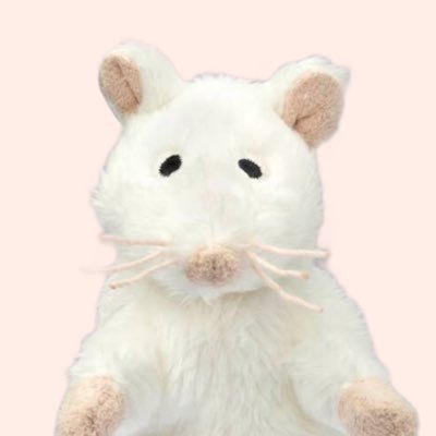 wanwanrurihooo's profile picture. ぬいぐるみが好きです。9:10、ファンデ、⚠️スカパー、チケプラトレード、木曜3限席、ゼミ志望書