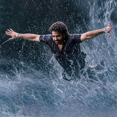 narendr39564094's profile picture. Tarak Anna fan 🙏🏻😍
Cinema 🎥 lover 🤩 
Rohit Gurunath Sharma 🏏❤️