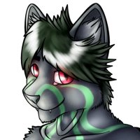 Sharkahm 🇨🇭 (@sharkahm95) 's Twitter Profile Photo