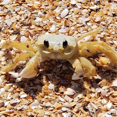 JohnSanfor63554's profile picture. maker of things