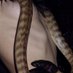 xxx (@xorrvxx) Twitter profile photo xxx (@xorrvxx) Twitter profile photo