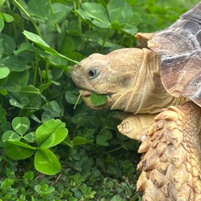 yuppipipipiiii's profile picture. ひたすら遊んでたい