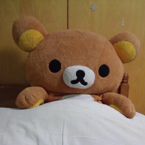 gotoma52960110's profile picture. 酒と旅がダイスキ( ´ ▽ ` )ﾉあとジムも♪