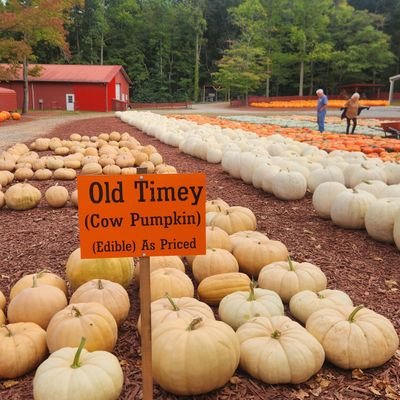 Growerofgardens's profile picture. Front porch Famous. Grower of the gardens. Wife, Mom, Gigi.  Living the best life❤️