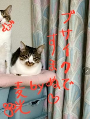 LIkJtTfQMF86343's profile picture. 