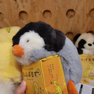 ikari_irn's profile picture. 18↑ 多数取引経験有丨DM前にコメントしてください（DM欄見えないのことが多い