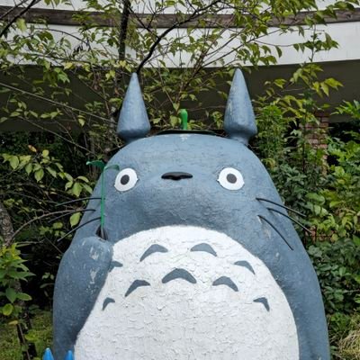 無言フォロー失礼します。
旅行、食べ歩き、ダーツ、スポーツなどの写真を中心にあげています。
よろしくお願いします。
良かったらフォローしてください～！

基本Galaxy S25Ultraの4Kで撮影。