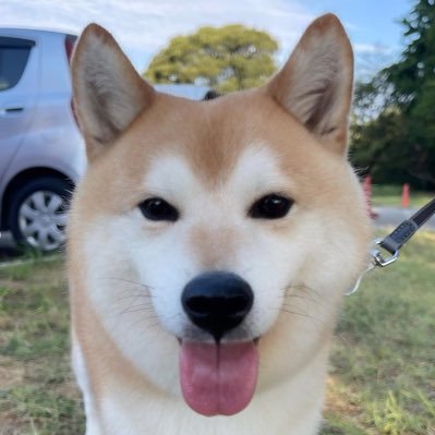 Aguri_OG's profile picture. https://t.co/XcsKPGP1Ef