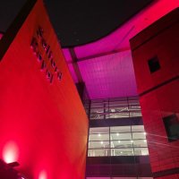 Salford Care Organisation Renal Department (@salfordrenal) 's Twitter Profile