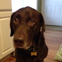 Benjamin Meyers - @BenMeyers1208 - Twitter