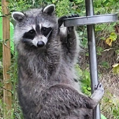 Bob108121968's profile picture. 